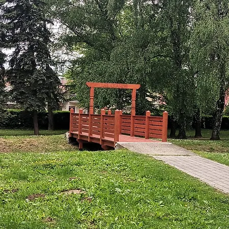 公寓 Viola Wellness Apartman 佐洛卡罗斯