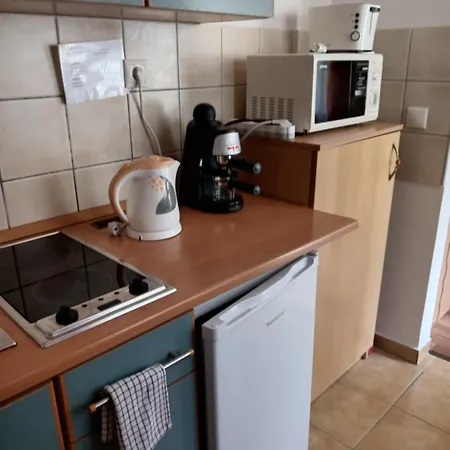 公寓 Viola Wellness Apartman