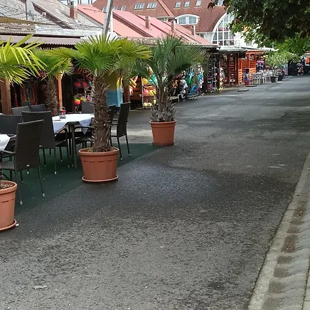 Viola Wellness Apartman * Zalakaros