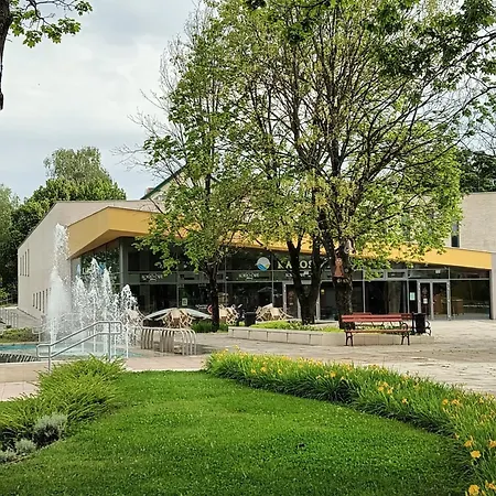 아파트 Viola Wellness Apartman *